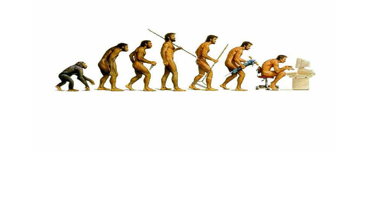 evoluzione