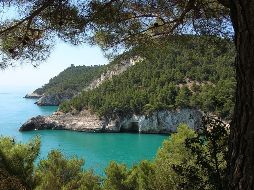 Regione Puglia