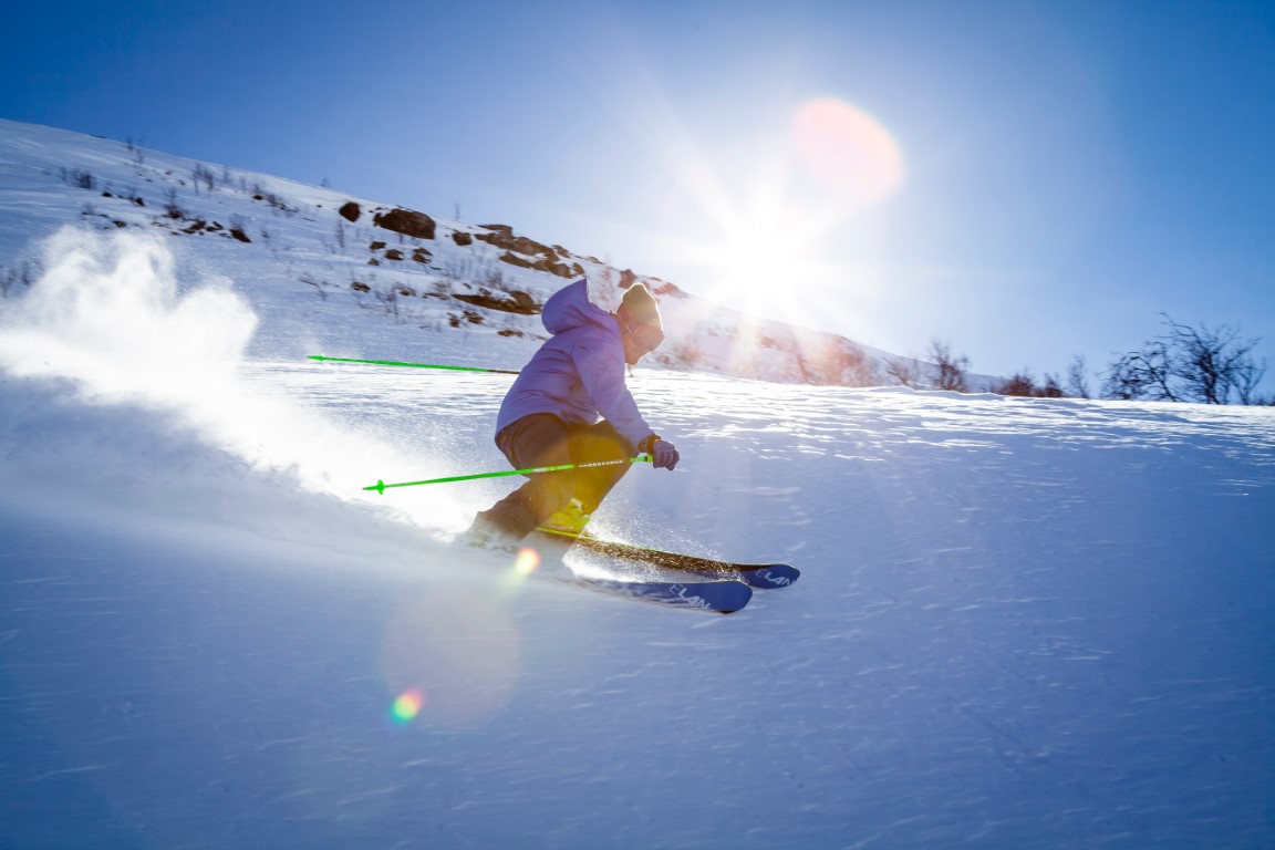 Bus della neve