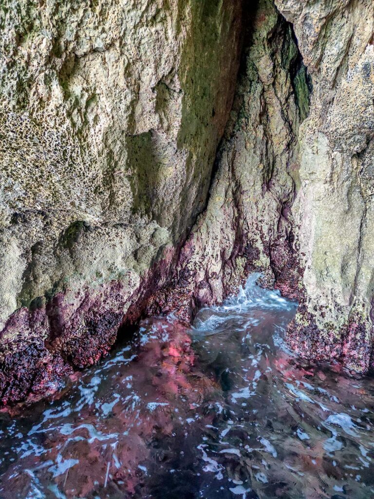 Grotta dei Coralli